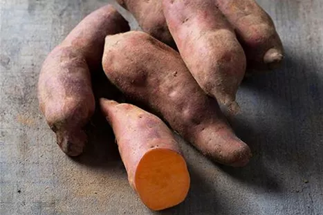 Zoete aardappel-Erato-Vineland.jpg