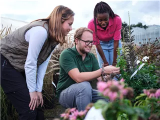 Apprendistato come giardiniere (m/f/d) specializzato nella coltivazione di piante ornamentali