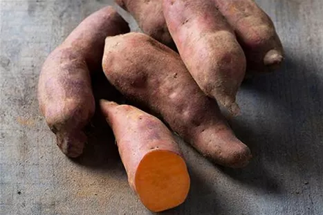 Patate douce-Erato-Vineland.jpg